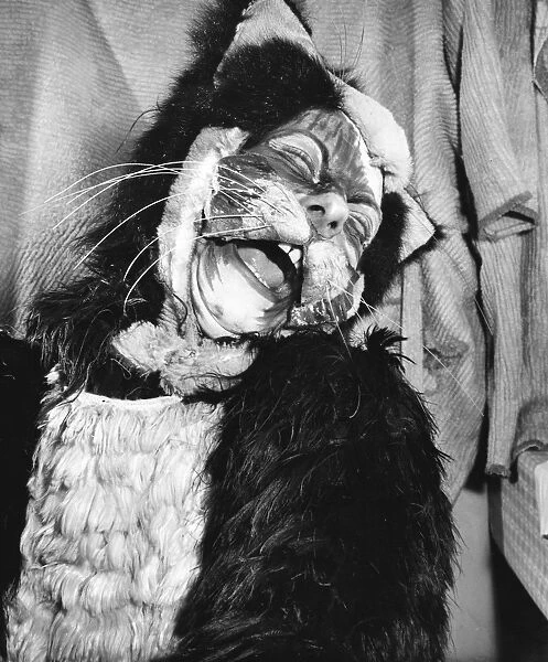 Actress Freda Wyn in cat costume for a pantomime