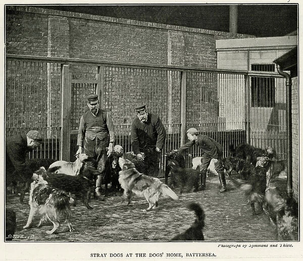 Battersea Dogs Home 1896