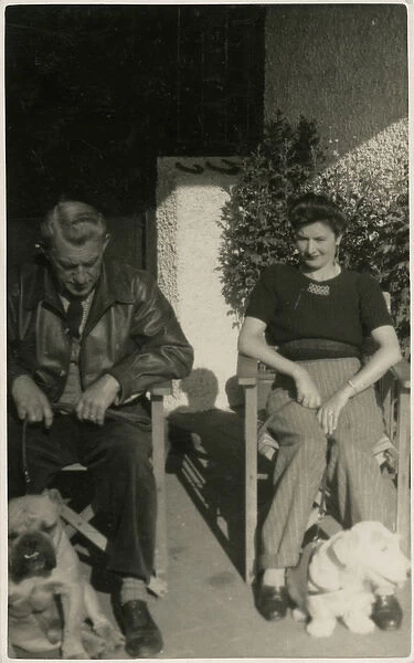 Couple in garden chairs with two dogs
