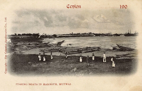 Fishing boats in harbour, Mutwal, Colombo, Ceylon