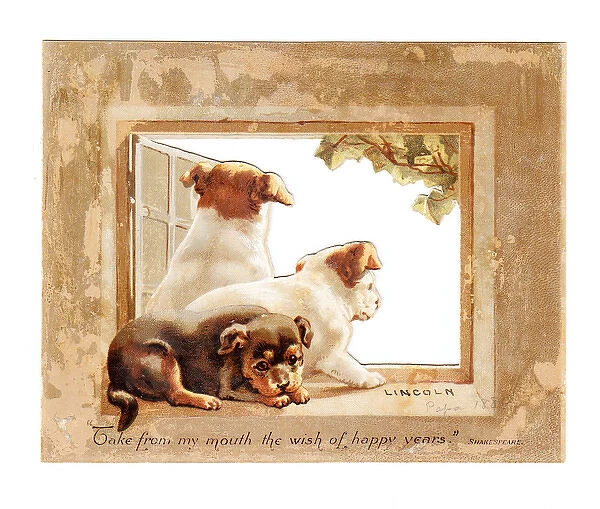 Three puppies in a window on a Christmas card