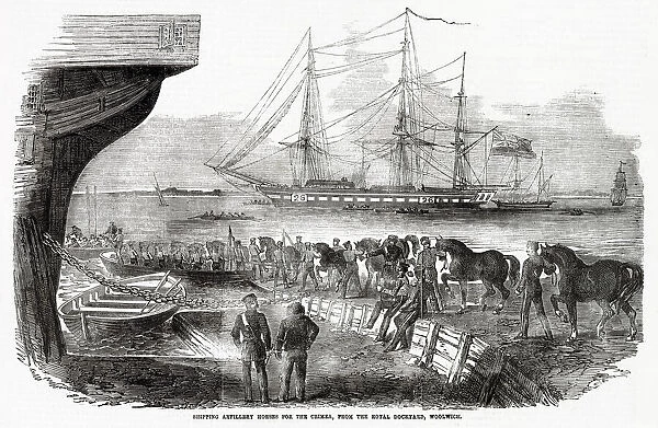 At the Royal Dockyard, Woolwich, artillery horses are shipped to the Crimea Date