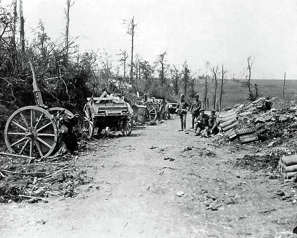 Scene near Mametz Wood, Western Front, WW1