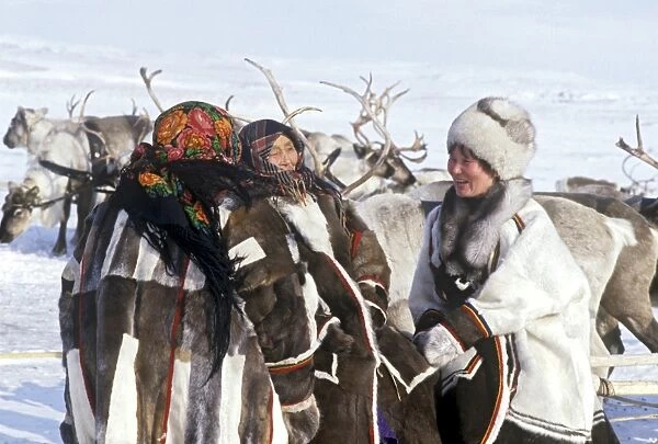 Reindeer herders, Russia C013  /  5386