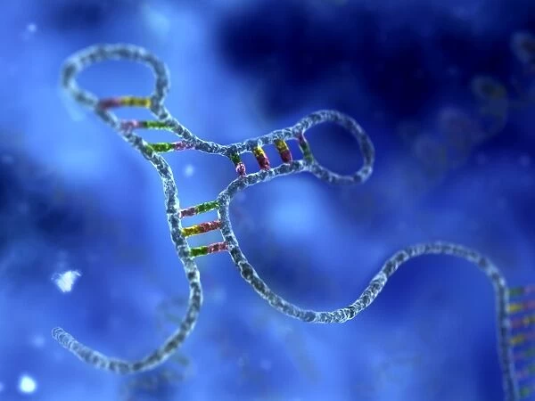 RNA interference, computer artwork