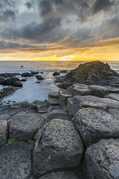 Giants Causeway at sunset, UNESCO World Heritage Site, County Antrim, Ulster, Northern Ireland
