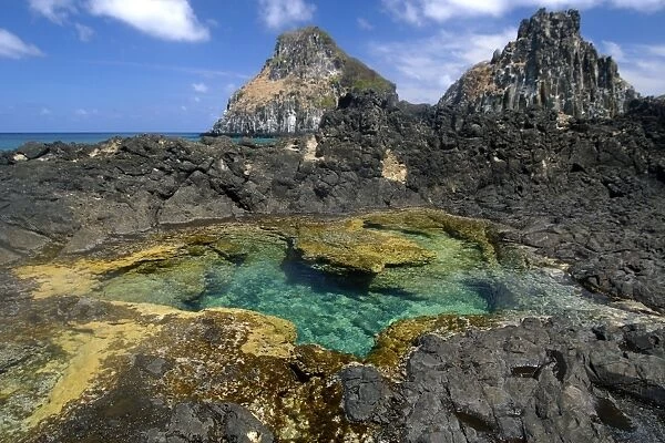 Coral and tide pool with Dois Irmaos in the background, Fernando de Noronha national marine sanctuary, Pernambuco, Brazil (S. Atlantic)