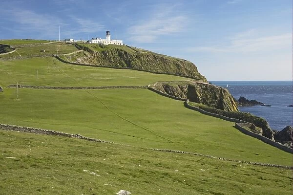 View of clifftop pasture and distant lighthouse, Sumburgh Head RSPB Reserve, Mainland, Shetland Islands, Scotland