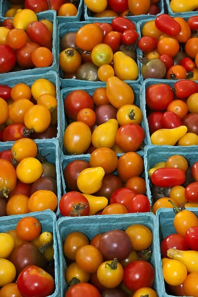 North America, USA, Georgia; Savannah; Organic cherry tomatoes at a farmer s