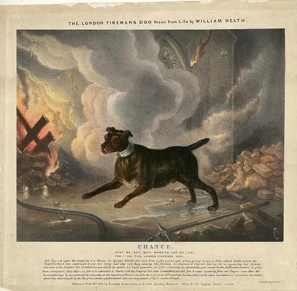 Illustration telling the story of Chance the Fire Dog