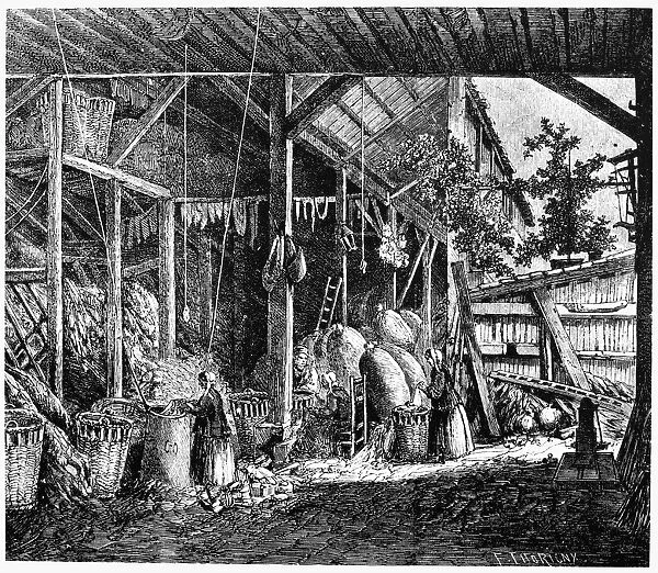 PAPER MANUFACTURE. The sorting of rags for the manufacture of paper. Line engraving, 19th century, after Felix Thorigny