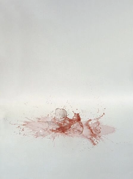 Glass of red wine smashing on the floor
