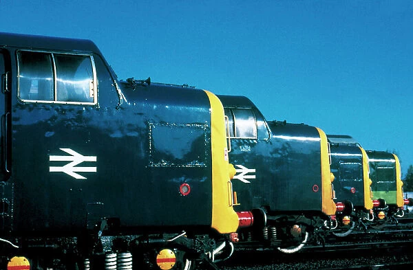 A row of Class 55 Deltic diesel locomotives built by English Electric in 1961-1962