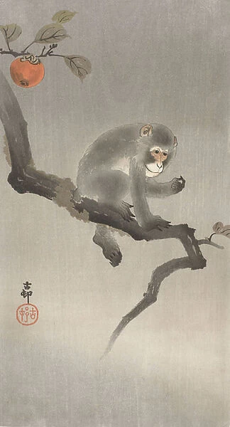 Monkey in a fruit tree, 1900-30 (colour woodcut)