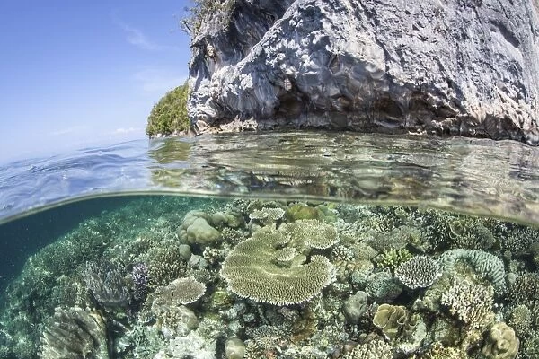 A healthy coral reef grows near limestone islands in Raja Ampat