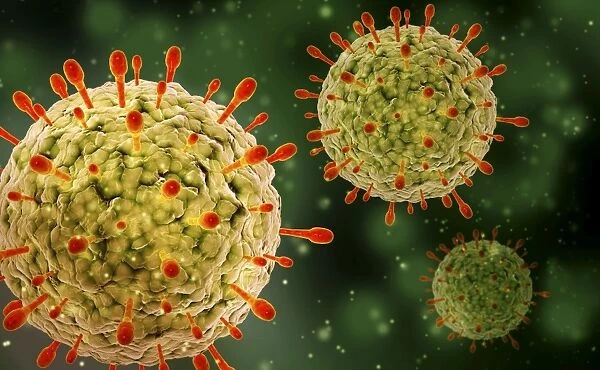 Microscopic view of herpes virus