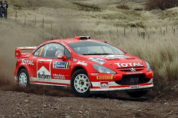 FIA World Rally Championship: Markko Martin, Peugeot 307 WRC, on stage 7