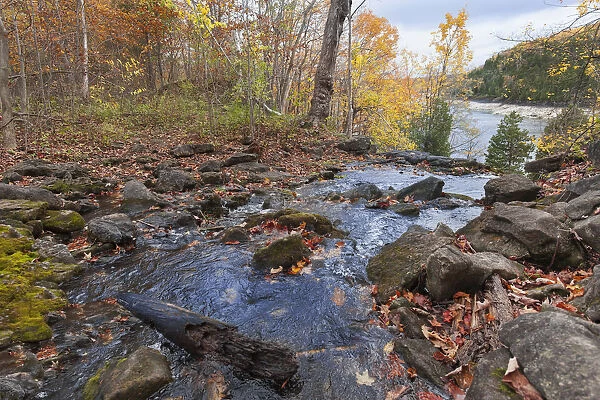 River In Autumn; Halton Hills, Ontario, Canada