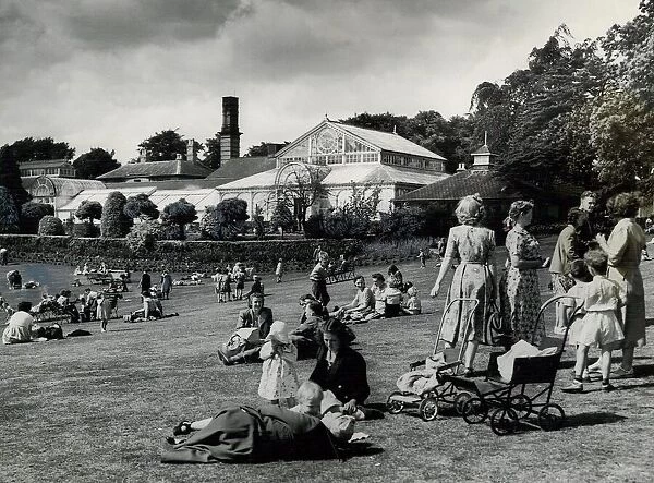 Birmingham Botanical Gardens, Edgbaston. July 1957
