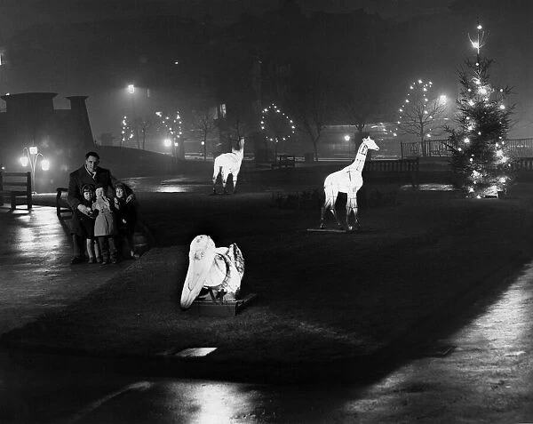 Christmas lights in St Johns Gardens, Liverpool. December 1960