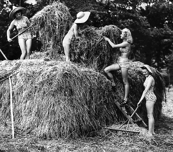 Land girls haymaking MSI Retro1 WW2