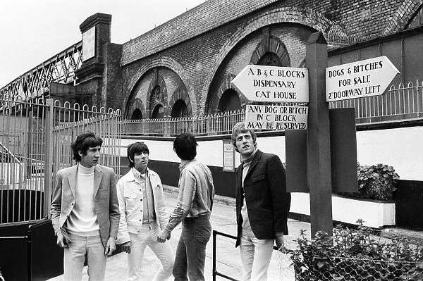 Members of The Who rock group sent their managers to purchase a guard dog at Battersea