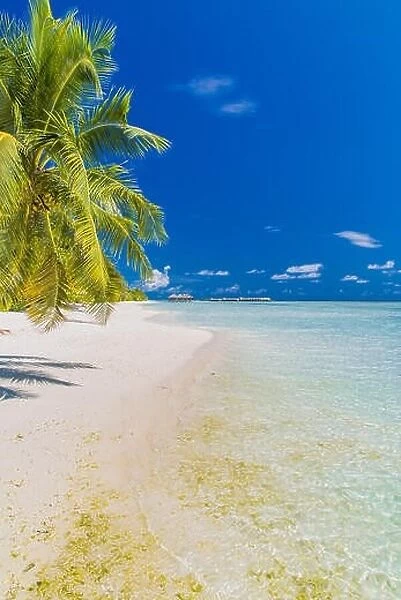 Beautiful beach in Maldives. Summer holiday travel concept