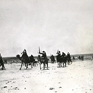 Arabs riding camels in the desert, Palestine, WW1