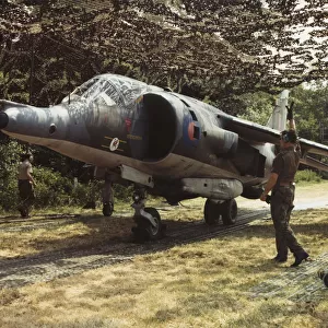 BAE Harrier GR-3