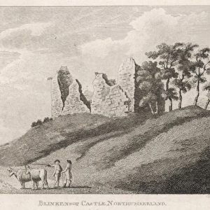 Blenkinsop Castle