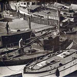 Boats moored at Toughs Yard, Teddington