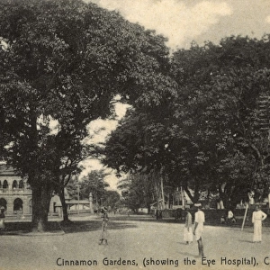 Cinnamon Gardens, Colombo, Ceylon (Sri Lanka)