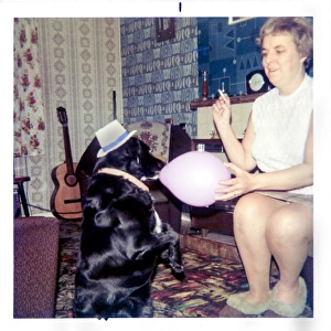 Dog with a hat and balloon in a 1970s living room
