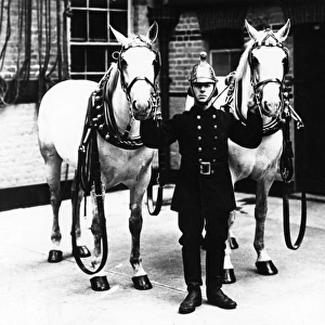 Fireman in brass helmet with two white horses