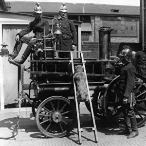Firemen with fire engine and dogs, Surbiton, Surrrey