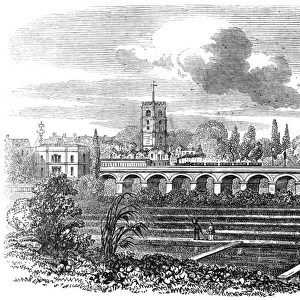 Hackney Station and watercress plantation