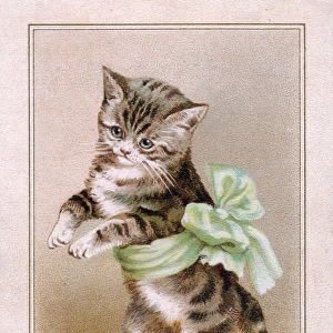 Kitten in green ribbon on a Christmas card