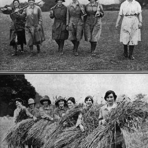 Land Girls bringing in the harvest