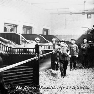 LCC-LFB Knightsbridge fire station stables