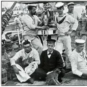 Pets brought home by men of HMS Thetis from St Helena