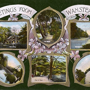 Postcard of Wanstead Park