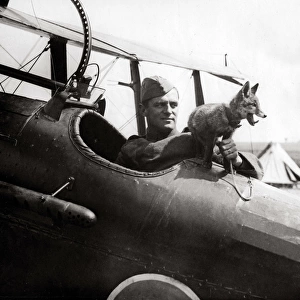 RAF fox mascot with pilot, WW1