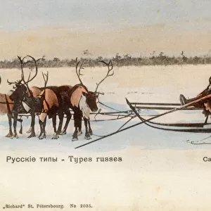 Samoyed People with their reindeer sled