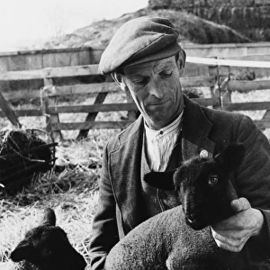 Shepherd with Lambs