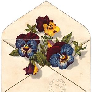 Variegated pansies in an envelope on a New Year card