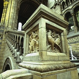 Detail view of the Central Hall at the Natural History Museu
