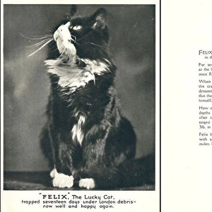 WW2 Christmas Card, Felix The Lucky Cat