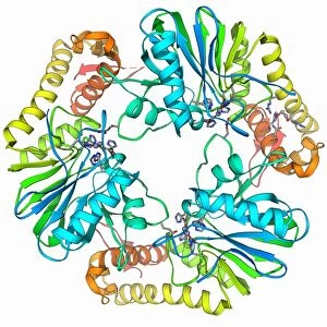 Beta-lactamase-like protein 2 molecule F006 / 9741