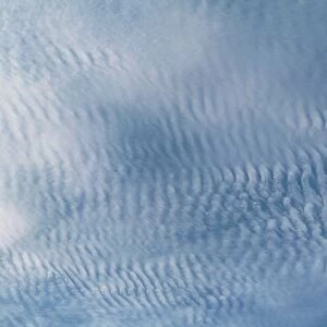 Cirrocumulus clouds forming a Mackerel Sky