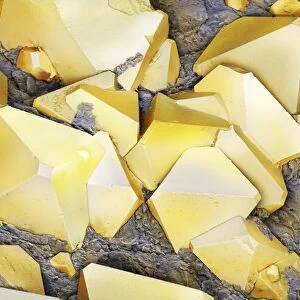 Iron pyrite crystals, SEM